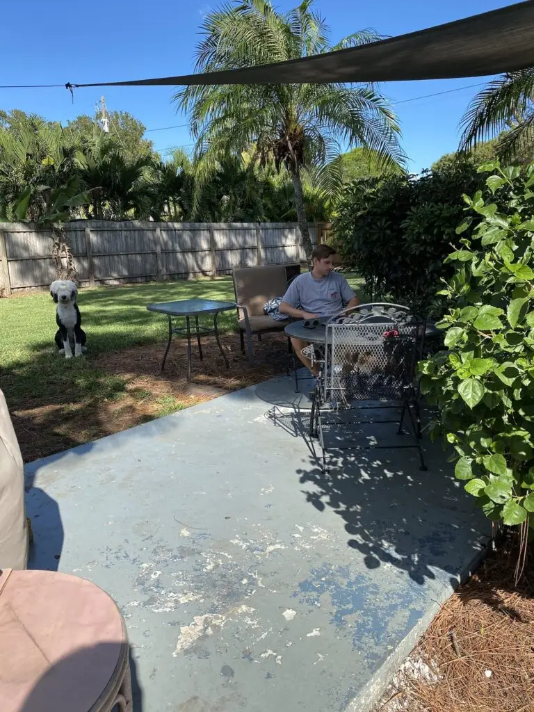 The Finished Patio (with painted pattern) + Shop the Look